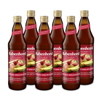 RABENHORST Für das Immunsystem 6er Pack (6 x 700 ml)